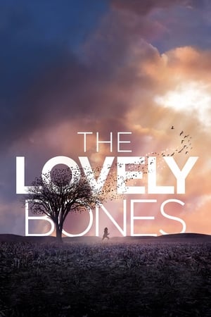 The Lovely Bones (2009) Hindi Dual Audio | Hindi Dubbed Movie BluRay [1GB]
