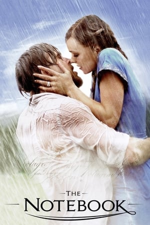 The Notebook 2004 Dual Audio Hindi | Hindi Dubbed Movie BRRip 400MB