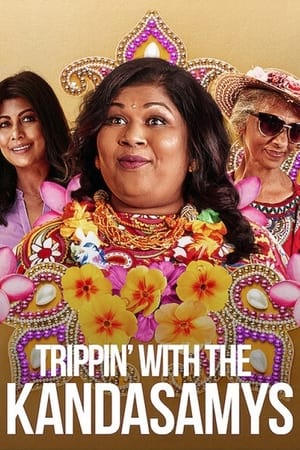 Trippin with the Kandasamys 2021 Hindi Dual Audio | Hindi Dubbed Movie Web-DL 300MB