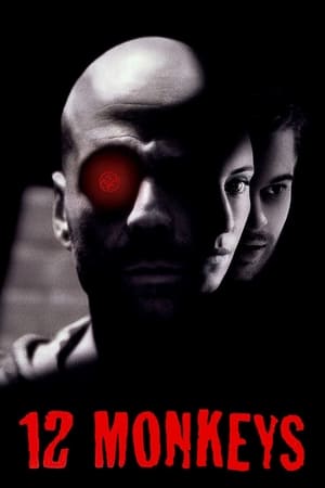 Twelve Monkeys (1995) Hindi Dual Audio Movie | Hindi Dubbed Movie BluRay - 880MB