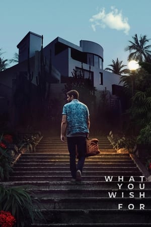 What You Wish For 2023 Dual Audio Hindi HDRip | Hindi Dubbed Movie – 480p – 1080p